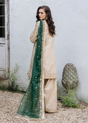 Haseens | Ayra Formals | Alizeh