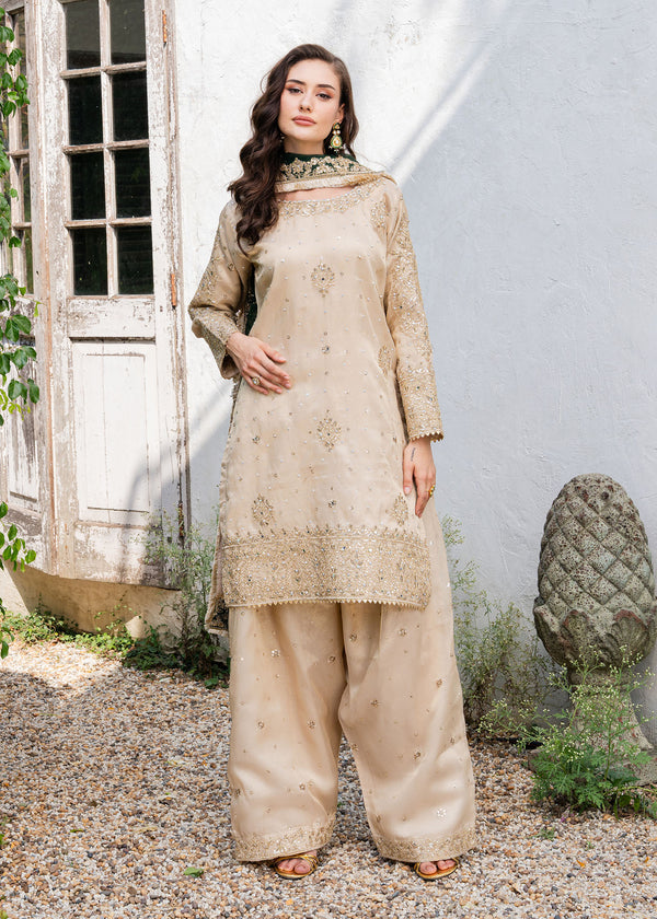 Haseens | Ayra Formals | Alizeh
