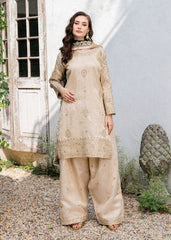 Haseens | Ayra Formals | Alizeh