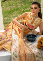 Saira Shakira | Bloom Lawn | LILY 1B