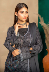 Humdum | AANGAN SS 24 | Aangan - D09