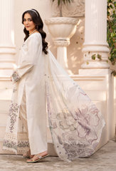 Humdum | Summer Breeze 26 | D13