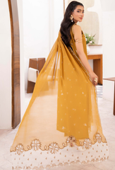 Humdum | Nayab 26 | NAYAB - D06