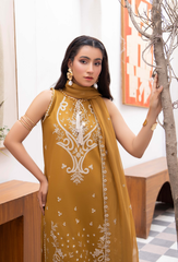 Humdum | Nayab 26 | NAYAB - D06