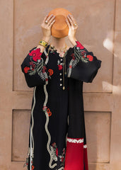 Crimson | MITTI WINTER PRET 25 | Kajal Kahani| Zayan Clothing UK