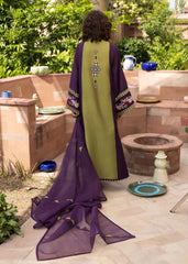 Crimson | MITTI WINTER PRET 25 | Rani Vogue(Plum) | Zayan Clothing UK