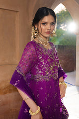 Rangrasiya | Chiffon Formals | Aaliyah