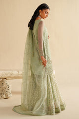 Naqshi | Feemora Organza Raw Silk | Hanam