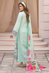 Humdum | Summer Breeze 26 | D07