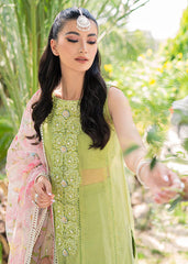 Saira Shakira | Luxury Pret | Wild Rye | Zayan Clothing UK