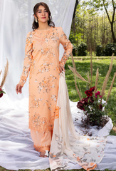 Hum Dum | Koel 25 | Koel-D02