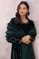 Chic Ophicial | Velveteen Luxury Fall Collection | Aysel