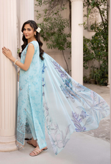 Humdum | Summer Breeze 26 | D03