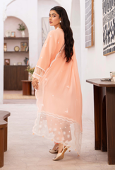 Humdum | Nayab 26 | NAYAB - D10