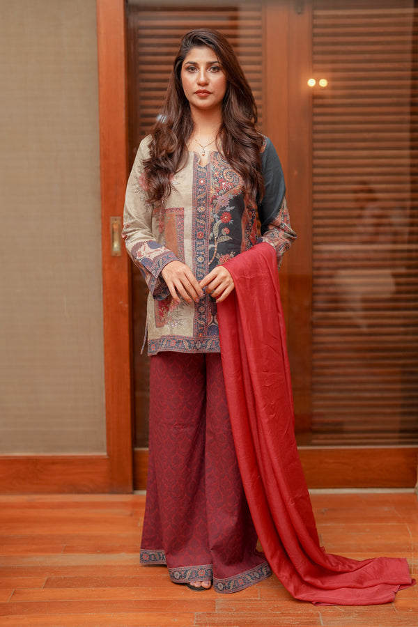 Shamaeel Ansari | Nazaakat Pret | Royal Crimson