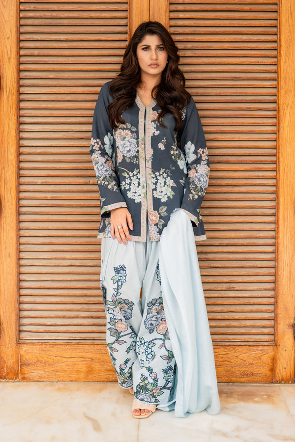Shamaeel Ansari | Nazaakat Pret | Blue Mirage