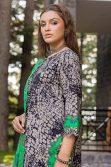Charizma | Aniiq Embroidered Collection | STAPLE SHAWL ANW4-09