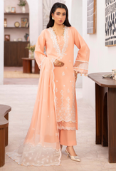 Humdum | Nayab 26 | NAYAB - D10