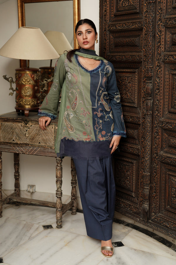 Shamaeel Ansari | Nazaakat Pret | Olive Muse