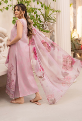 Humdum | Summer Breeze 26 | D02