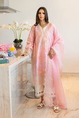 Rangrasiya | Carnation Summer Edit 25 | Freesia