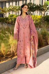 Rangrasiya | Carnation Summer Edit 25 | Orchid