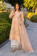 Rangrasiya | Carnation Summer Edit 25 | Zinnia