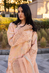 Rangrasiya | Carnation Summer Edit 25 | Zinnia
