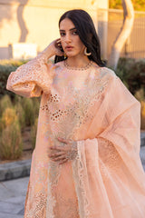 Rangrasiya | Carnation Summer Edit 25 | Zinnia