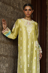 Wardha Saleem | Aari Collection | Minaal