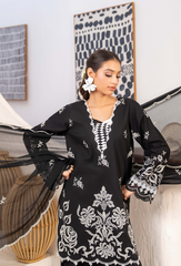Humdum | Nayab 26 | NAYAB - D01
