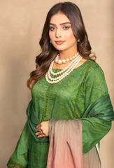 Humdum | AANGAN SS 24 | Aangan - D04