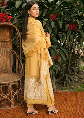 Saira Shakira | Luxury Pret | Everlasting Daisy | Zayan Clothing UK