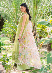 Saira Shakira | Luxury Pret | Wild Rye | Zayan Clothing UK