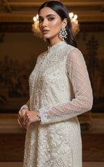 Threads and Motifs | Formal Dresses 25 | Net Embroidered Shirt With Trouser