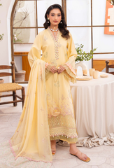Humdum | Nayab 26 | NAYAB - D02