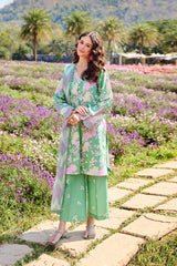 Farasha | Summer Escape 26 | Golden Spring