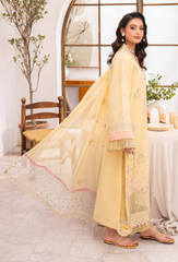 Humdum | Nayab 26 | NAYAB - D02