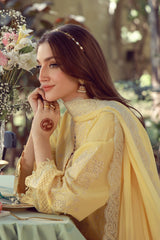 Sahar | Festive Edit 26 | Butterlicious