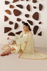 Farasha | Summer Melody 26 | Butter Glow