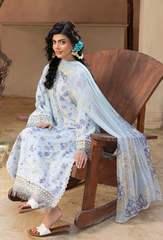 Humdum | Zaiba 25 |  D02