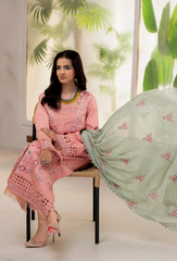 Humdum | Ellena 26 | D06
