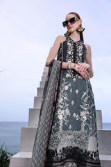 Noor by Saadia Asad | Luxe Printkari | D2-B