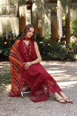 Noor by Saadia Asad | Eid Luxe Printedkari | D3-B
