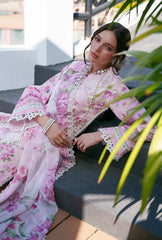 AJR Couture | Printed Chikankari 26 | Rumi