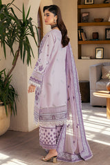 Saffron | Summer Soiree 25 | Celeste