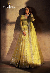 Asim Jofa | Bekhudi Wedding Formals | AJKB-12 | Zayan Clothing UK