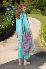 Rangrasiya | Lifestyle Summer 26 | Aster