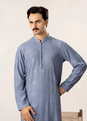Virsa - Ice Blue Embroidered Kurta Trouser