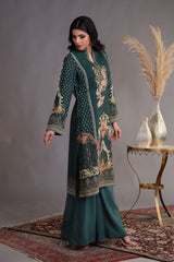 Shamaeel Ansari | Winter Festive 25 | WFE-03